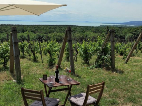 Napraszállás Vendégház, Balatonakali